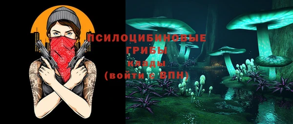 твердый Абаза